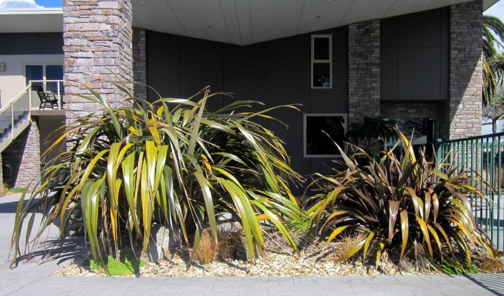 Stay 284 Rotorua - Refurbished Modern Accommodation Exteriér fotografie